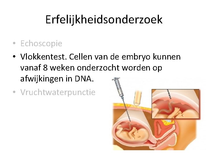 Erfelijkheidsonderzoek • Echoscopie • Vlokkentest. Cellen van de embryo kunnen vanaf 8 weken onderzocht