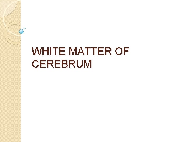 WHITE MATTER OF CEREBRUM 
