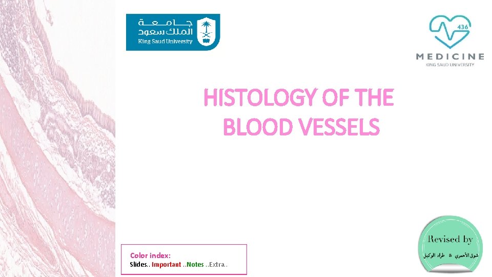 HISTOLOGY OF THE BLOOD VESSELS Color index: Slides. . Important. . Notes. . Extra.