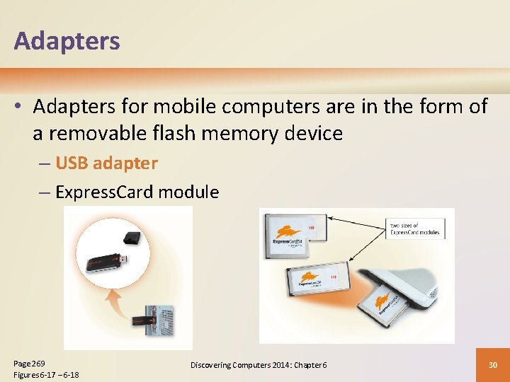 Adapters • Adapters for mobile computers are in the form of a removable flash