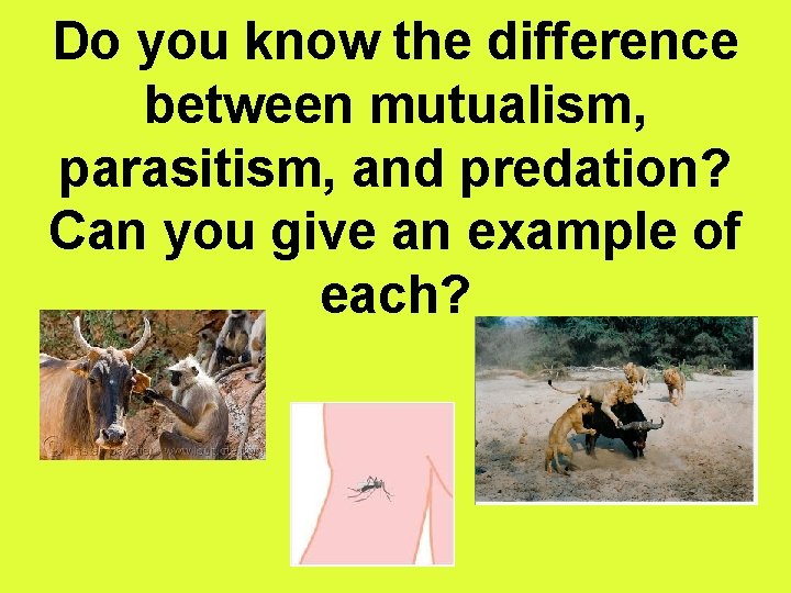 Do you know the difference between mutualism, parasitism, and predation? Can you give an