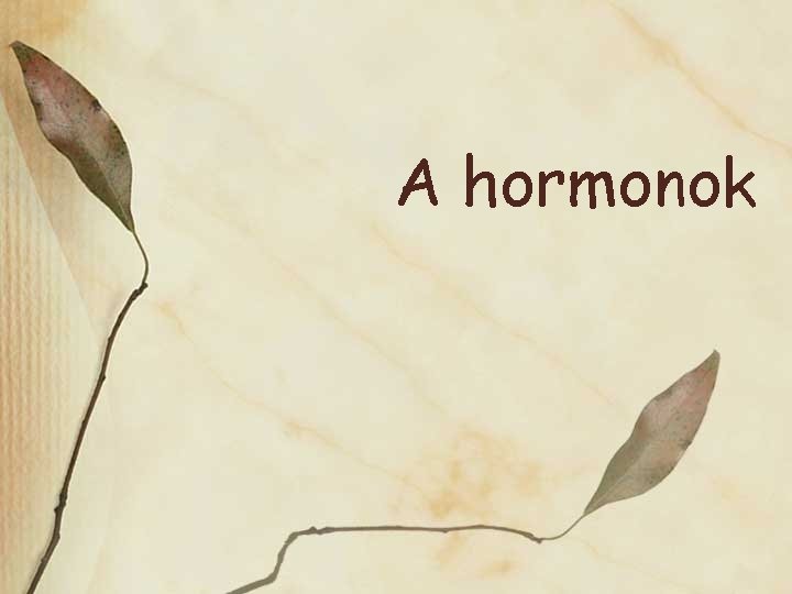 A hormonok 