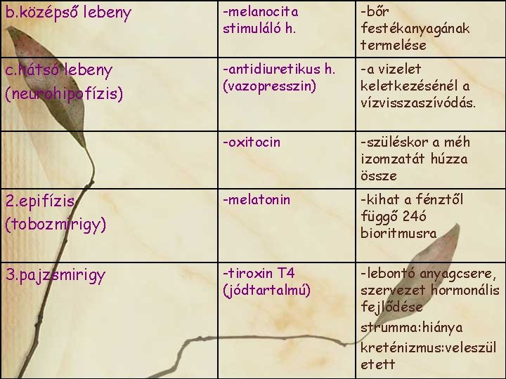 Az agyalapi mirigy működési zavarai - a vízháztartás zavarai