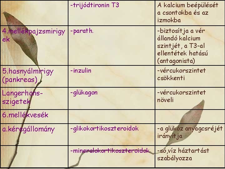 -trijódtironin T 3 A kalcium beépülését a csontokba és az izmokba 4. mellékpajzsmirigy -parath.