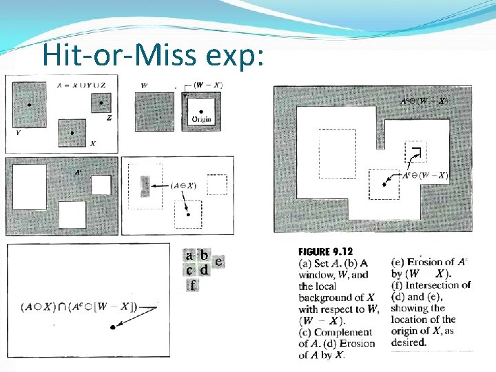 Hit-or-Miss exp: 