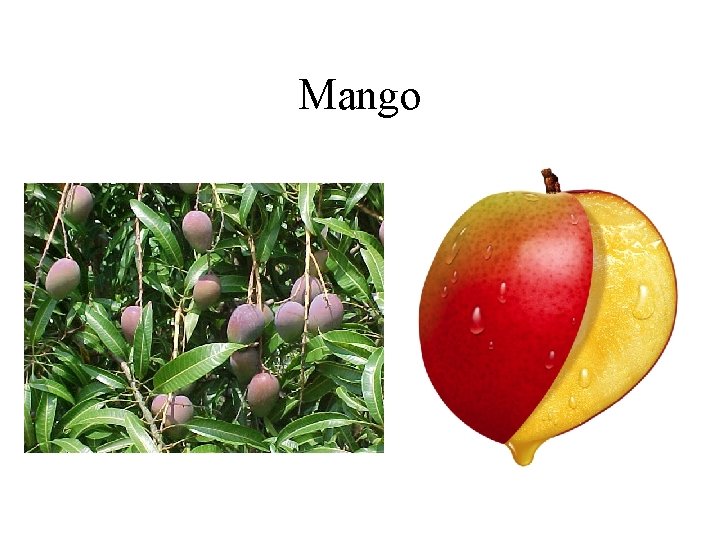 Mango 