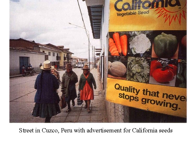 Street in Cuzco, Peru with advertisement for California seeds 