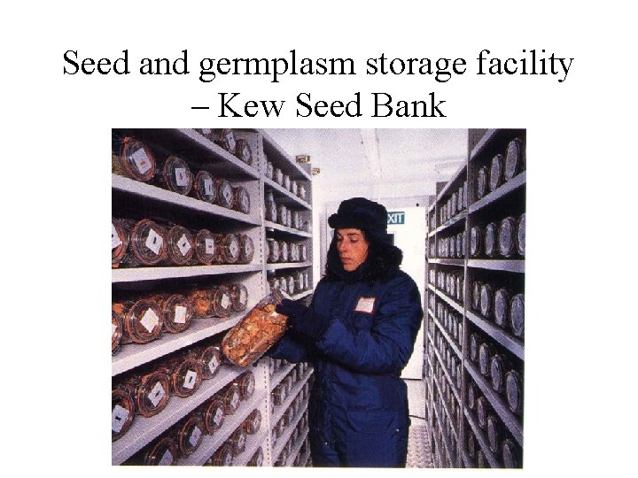 Seed and germplasm storage facility – Kew Seed Bank 