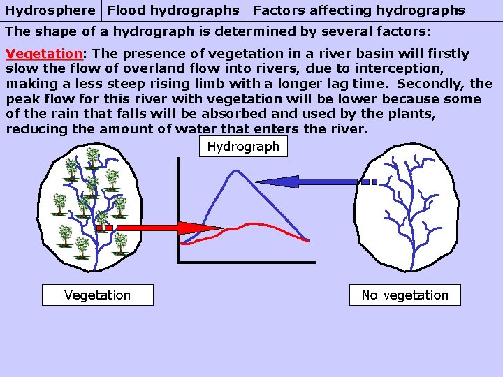 Hydrosphere Flood hydrographs Factors affecting hydrographs The shape of a hydrograph is determined by