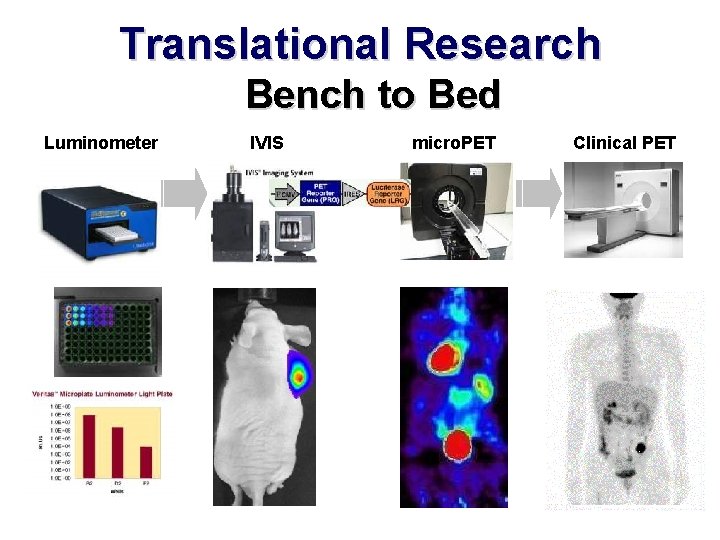Translational Research Bench to Bed Luminometer IVIS micro. PET Clinical PET 