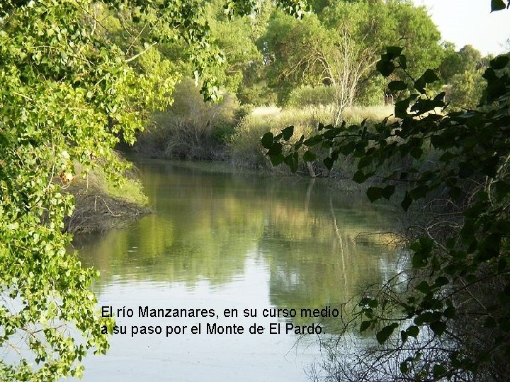  El río Manzanares, en su curso medio, a su paso por el Monte