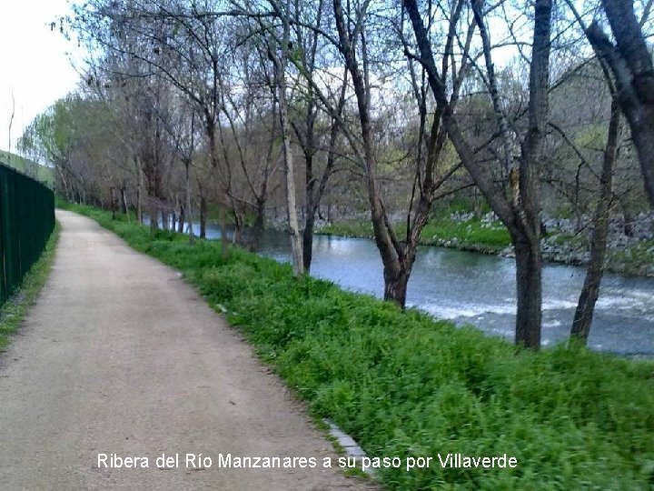Ribera del Río Manzanares a su paso por Villaverde 