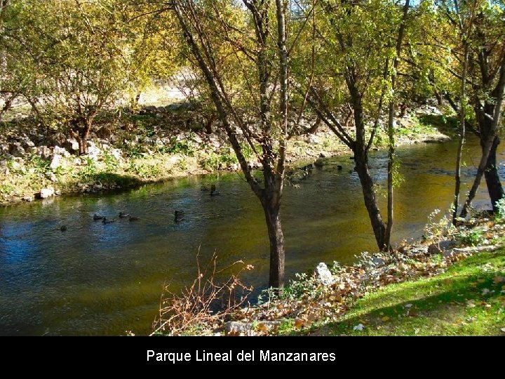 Parque Lineal del Manzanares 