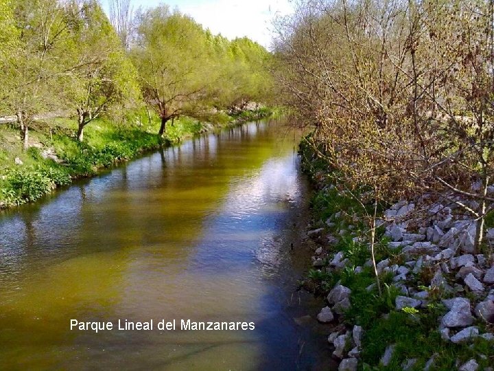 Parque Lineal del Manzanares Anocheciendo 