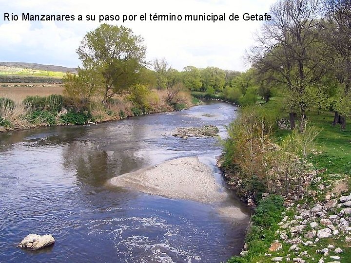 Río Manzanares a su paso por el término municipal de Getafe. 