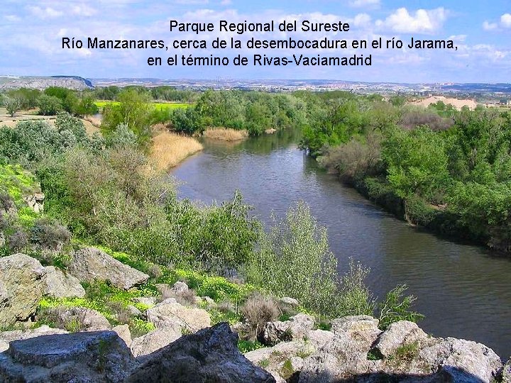Parque Regional del Sureste Río Manzanares, cerca de la desembocadura en el río Jarama,