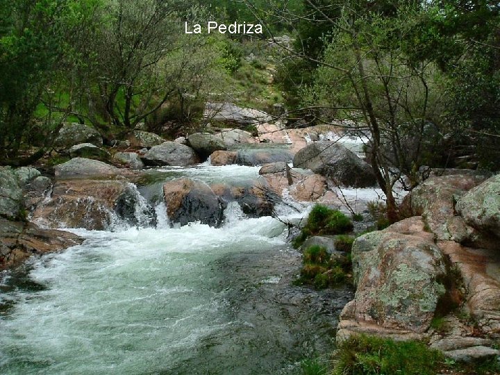 La Pedriza 