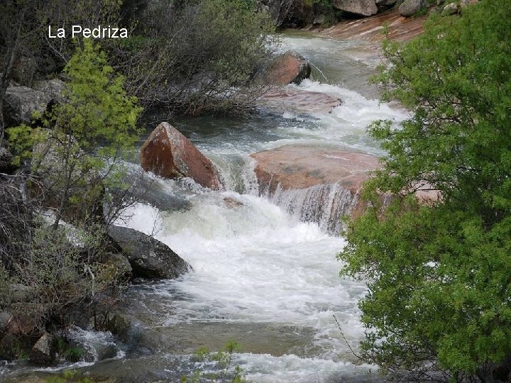 La Pedriza 