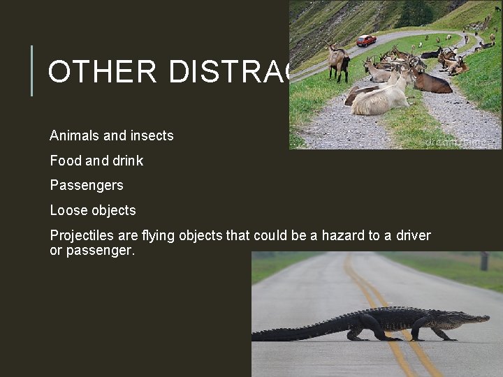 OTHER DISTRACTIONS Animals and insects Food and drink Passengers Loose objects Projectiles are flying