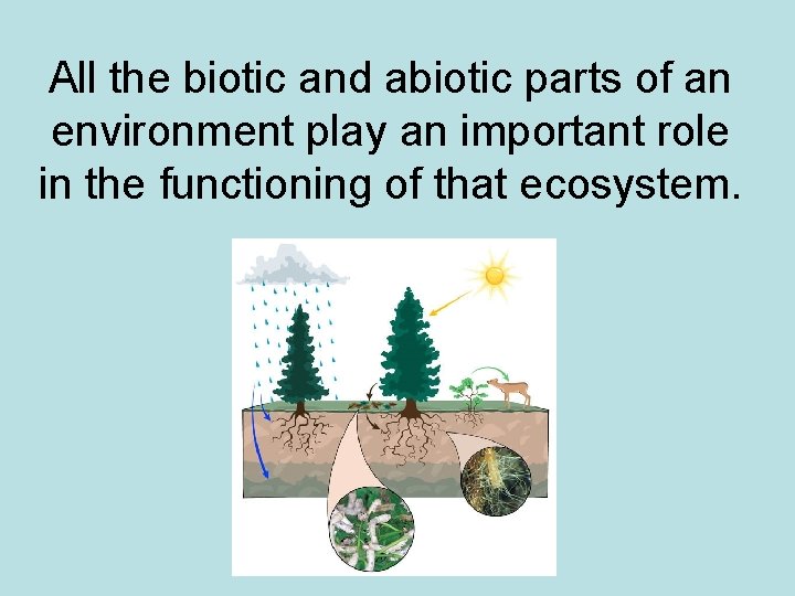 All the biotic and abiotic parts of an environment play an important role in