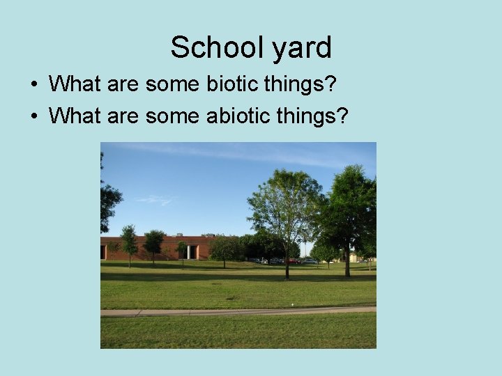 School yard • What are some biotic things? • What are some abiotic things?