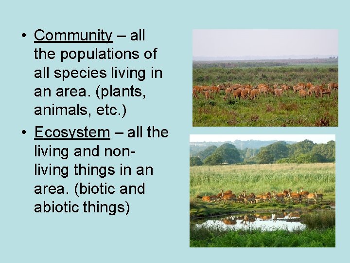  • Community – all the populations of all species living in an area.