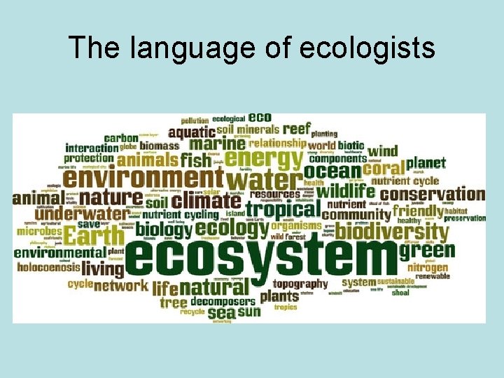 The language of ecologists 