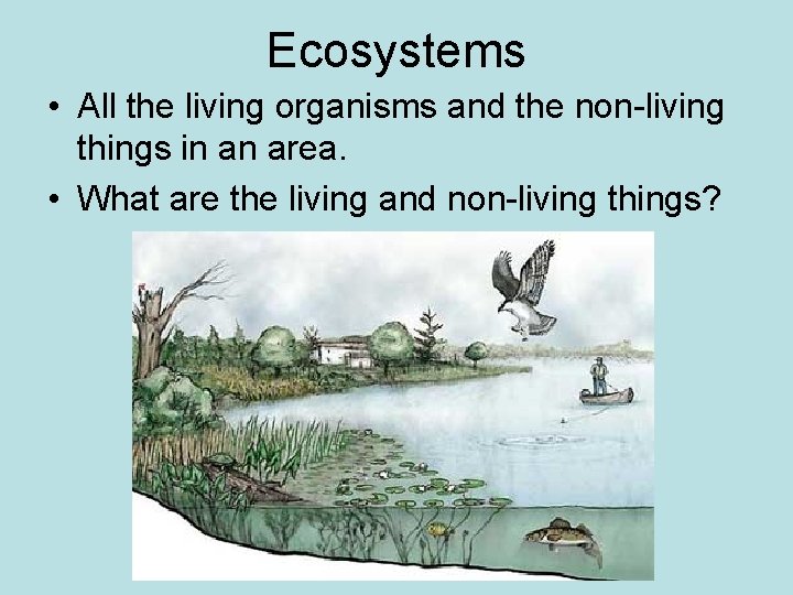 Ecosystems • All the living organisms and the non-living things in an area. •
