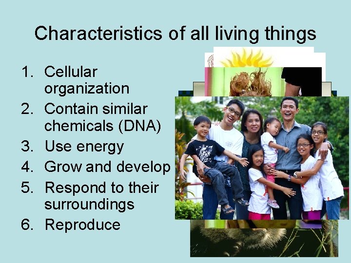 Characteristics of all living things 1. Cellular organization 2. Contain similar chemicals (DNA) 3.