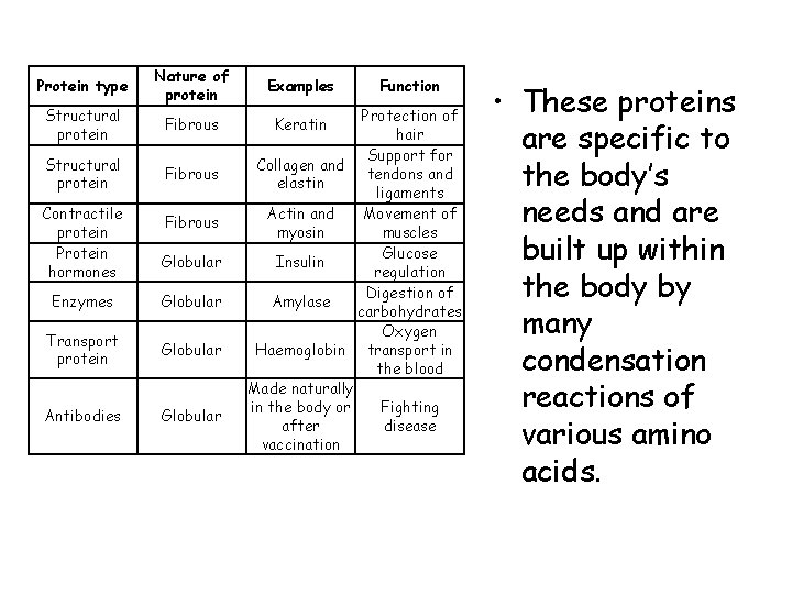 Protein type Structural protein Contractile protein Protein hormones Nature of protein Fibrous Globular Enzymes