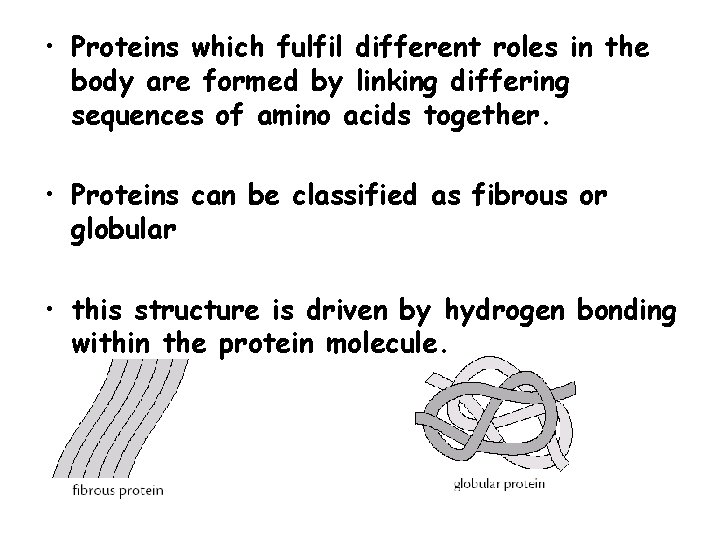  • Proteins which fulfil different roles in the body are formed by linking