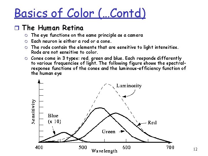 Basics of Color (…Contd) r The Human Retina m m The eye functions on