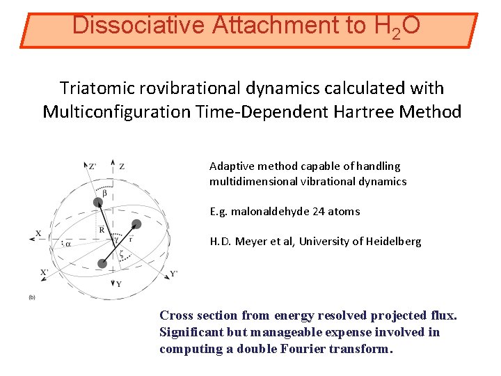 Dissociative Attachment to H 2 O Triatomic rovibrational dynamics calculated with Multiconfiguration Time-Dependent Hartree