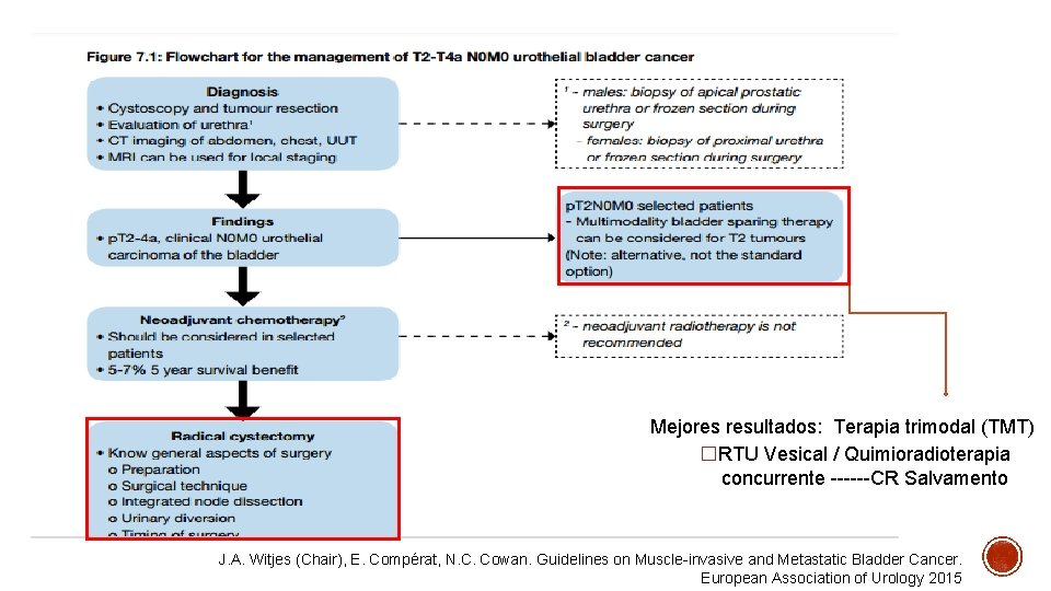 Mejores resultados: Terapia trimodal (TMT) �RTU Vesical / Quimioradioterapia concurrente CR Salvamento J. A.