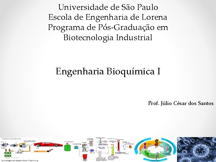 Universidade de São Paulo Escola de Engenharia de Lorena Programa de Pós-Graduação em Biotecnologia Universidade de São Paulo Escola de Engenharia de Lorena Programa de Pós-Graduação em Biotecnologia