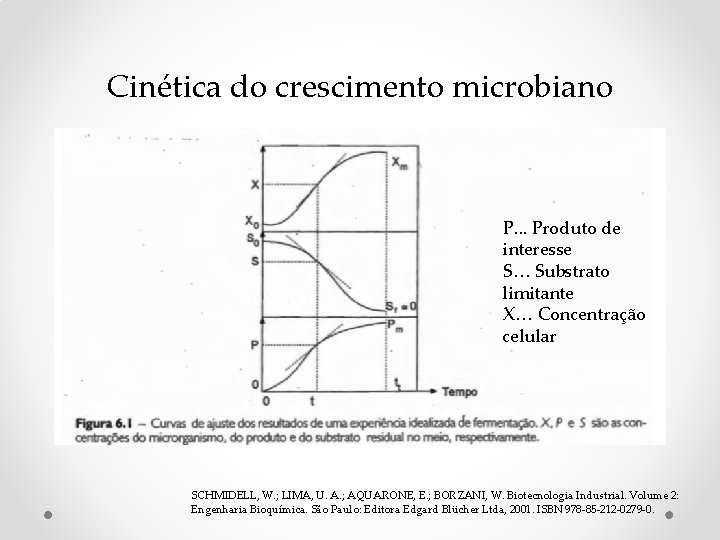Cinética do crescimento microbiano P. . . Produto de interesse S… Substrato limitante X… Cinética do crescimento microbiano P. . . Produto de interesse S… Substrato limitante X…