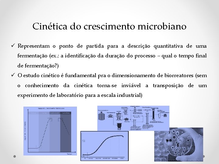 Cinética do crescimento microbiano ü Representam o ponto de partida para a descrição quantitativa Cinética do crescimento microbiano ü Representam o ponto de partida para a descrição quantitativa