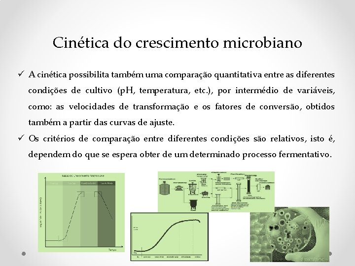 Cinética do crescimento microbiano ü A cinética possibilita também uma comparação quantitativa entre as Cinética do crescimento microbiano ü A cinética possibilita também uma comparação quantitativa entre as