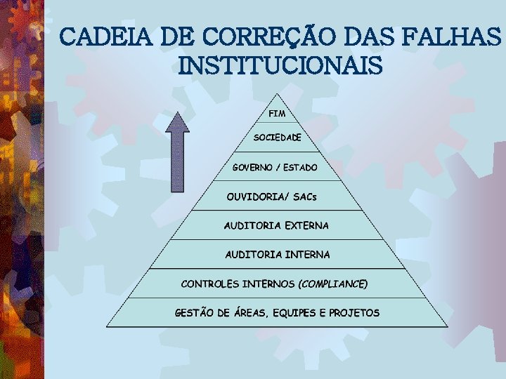 CADEIA DE CORREÇÃO DAS FALHAS INSTITUCIONAIS 