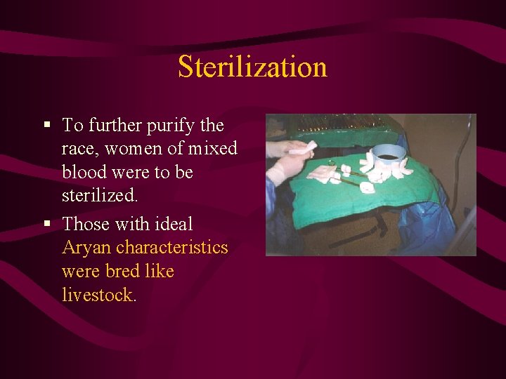 Sterilization § To further purify the race, women of mixed blood were to be