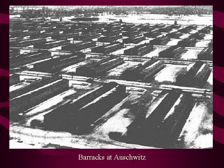 Barracks at Auschwitz 