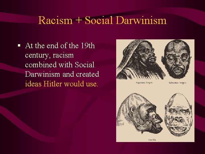 Racism + Social Darwinism § At the end of the 19 th century, racism