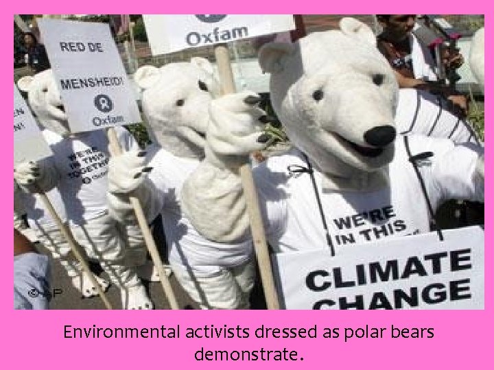 Environmental activists dressed as polar bears demonstrate. 