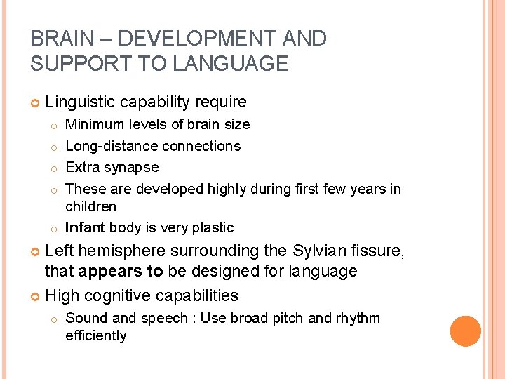 BRAIN – DEVELOPMENT AND SUPPORT TO LANGUAGE Linguistic capability require o o o Minimum