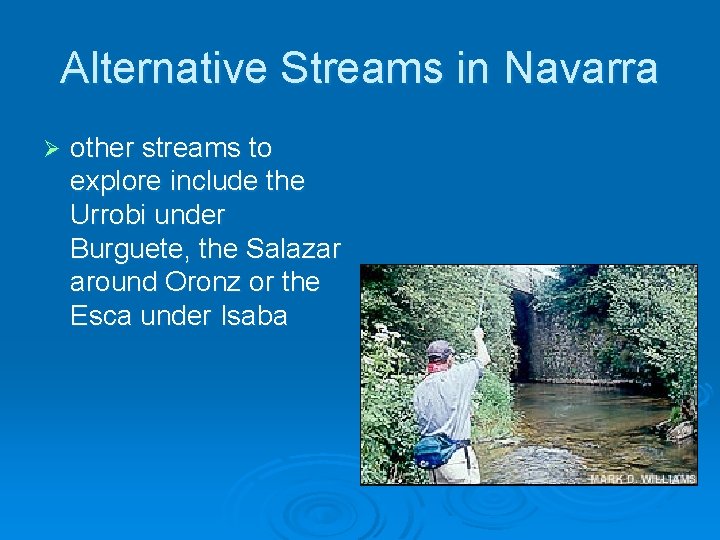 Alternative Streams in Navarra Ø other streams to explore include the Urrobi under Burguete,