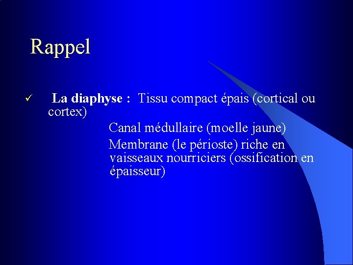 Rappel ü La diaphyse : Tissu compact épais (cortical ou cortex) Canal médullaire (moelle