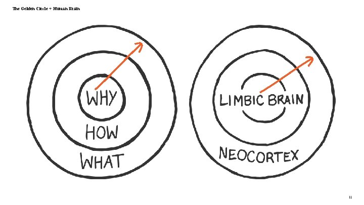 The Golden Circle + Human Brain 11 