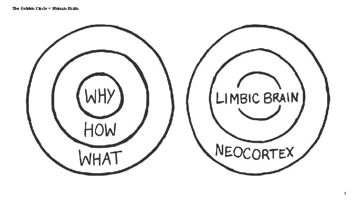 The Golden Circle + Human Brain 8 