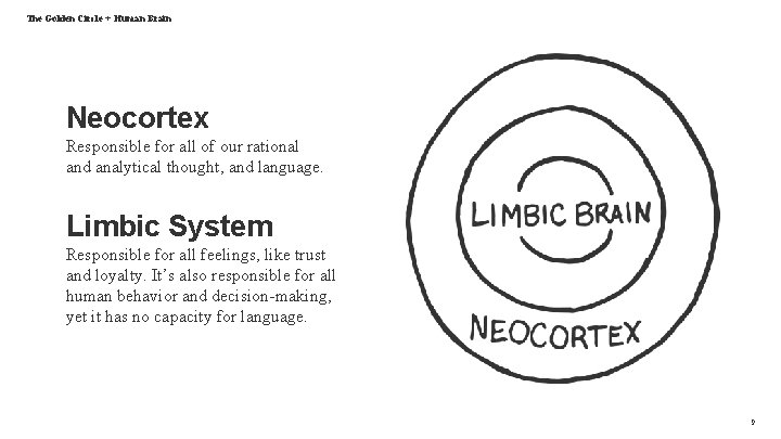 The Golden Circle + Human Brain Neocortex Responsible for all of our rational and