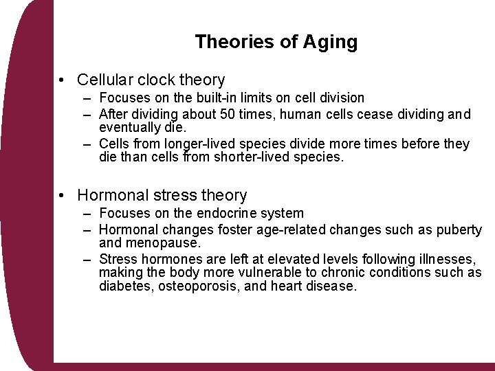 Theories of Aging • Cellular clock theory – Focuses on the built-in limits on